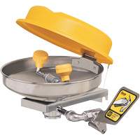 Eyewash Station, Wall-Mount Installation, Stainless Steel Bowl Infinity Industrial Services Inc.