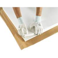 PX140 Coated Gloves, 6/X-Small, Polyurethane Coating, 15 Gauge, Nylon Shell Infinity Industrial Services Inc.