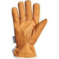 Endura&reg; Driver's Glove, Small, Grain Goatskin Palm, Thinsulate Inner Lining Infinity Industrial Services Inc.