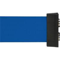 Barri&egrave;re &agrave; fixation murale avec ruban magn&eacute;tique, Acier, Fixation par vis, 7', Ruban Bleu Infinity Industrial Services Inc.