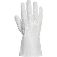 Ground Hog Electro-Static Spray Painting Gloves, Size Large, 11.5" L, Polyurethane Infinity Industrial Services Inc.