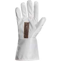 Ground Hog Electro-Static Spray Painting Gloves, Size Large, 11.5" L, Polyurethane Infinity Industrial Services Inc.