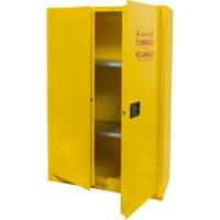 Flammable Storage Cabinet, 45 gal., 2 Door, 43" W x 65" H x 18" D Infinity Industrial Services Inc.