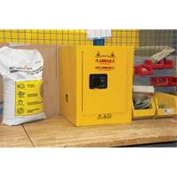 Flammable Storage Cabinet, 4 gal., 1 Door, 17" W x 22" H x 18" D Infinity Industrial Services Inc.