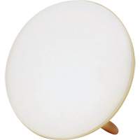 Jumbo Therapy Light for Seasonal Affective Disorder Infinity Industrial Services Inc.