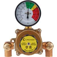 Mixing Valve for Exposed Assembly of Eye/Facewash, 9 gpm Infinity Industrial Services Inc.
