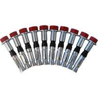 Jeu de boulons de rechange pour ancrages &agrave; anneau en D pour b&eacute;ton, Boulonn&eacute;, Usage Permanent/Temporaire Infinity Industrial Services Inc.