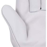 535G Gants de chauffeur beige, Petit, Paume en Cuir fleur de vache Infinity Industrial Services Inc.