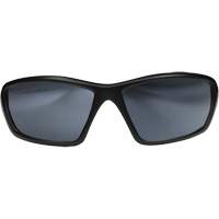 Lunettes de s&eacute;curit&eacute; Robson avec joint, Lentille Miroir argent&eacute;, Anti-&eacute;gratignures/Polaris&eacute;, ANSI Z87+/MCEPS GL-PD 10-12/R&eacute;pond ou surpasse la norme CSA Z94.3 Infinity Industrial Services Inc.