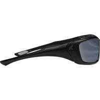 Lunettes de s&eacute;curit&eacute; Robson avec joint, Lentille Miroir argent&eacute;, Anti-&eacute;gratignures/Polaris&eacute;, ANSI Z87+/MCEPS GL-PD 10-12/R&eacute;pond ou surpasse la norme CSA Z94.3 Infinity Industrial Services Inc.