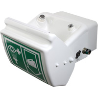 Eye/Face Wash, Wall-Mount Installation, Plastic Bowl Infinity Industrial Services Inc.