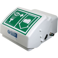 Eye/Face Wash, Wall-Mount Installation, Plastic Bowl Infinity Industrial Services Inc.