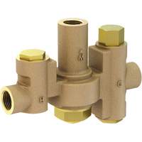 Mid-Capacity Thermostatic Mixing Valve for Individual Eye/Face Wash Stations, 2 - 35.1 GPM Infinity Industrial Services Inc.