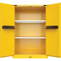 Armoire de s&eacute;curit&eacute; pour produits inflammables Utili-Guard+, 45 gal., 2 Porte(s), 43" La x 65" h x 22" p Infinity Industrial Services Inc.
