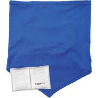Chill-Its 6482 Cooling Neck Gaiter Bandana with Rechargeable Phase Change Packs, Small/Medium, Blue Infinity Industrial Services Inc.