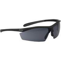 Sentinel Ballistic Protection Safety Glasses, Smoke Lens, Anti-Fog/Anti-Scratch, ANSI Z87+ Infinity Industrial Services Inc.