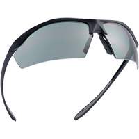 Sentinel Ballistic Protection Safety Glasses, Smoke Lens, Anti-Fog/Anti-Scratch/Polarized, ANSI Z87+ Infinity Industrial Services Inc.