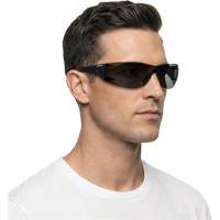 Lunettes de s&eacute;curit&eacute; Adapt Lite, Lentille Fum&eacute;e, Antibu&eacute;e/Anti-&eacute;gratignures, ANSI Z87+/R&eacute;pond ou surpasse la norme CSA Z94.3 Infinity Industrial Services Inc.
