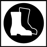 &eacute;tiquettes avec pictogramme Right to Know - Bottes, Vinyle, Feuille, 5/8" lo x 3/4" la Infinity Industrial Services Inc.