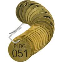 Numbered "PLPG" Valve Tags, # 051-075, Brass, 1.5" dia Infinity Industrial Services Inc.