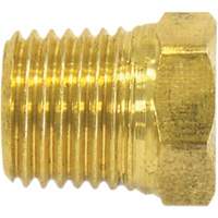 Bouchon de tuyau (t&ecirc;te hexagonale), 1/2" dia., Laiton Infinity Industrial Services Inc.