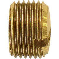 Pipe Plug (Slotted), 1/8" Dia., Brass Infinity Industrial Services Inc.