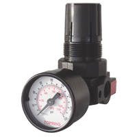Mini Regulators, 1/4" NPT, 165 PSI Max. PSI, Modular Infinity Industrial Services Inc.