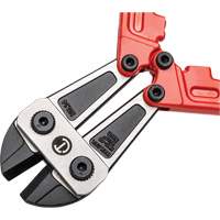 High Leverage Compound Bolt Cutter, 14" L, Center Cut Infinity Industrial Services Inc.