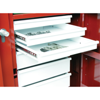 Rolling Work Bench, 49-7/8" W x 40-5/8" H x 26-7/8" D, 24.6 Cubic Feet Capacity Infinity Industrial Services Inc.