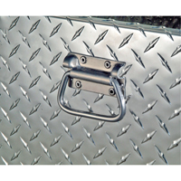 R&eacute;servoir de transfert pour carburant & coffre en aluminium, Aluminium, Capacit&eacute; 74 gal., Argent Infinity Industrial Services Inc.