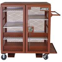 Mobile Mesh Cabinet, Steel, 37 Cubic Feet, Red Infinity Industrial Services Inc.