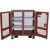 Mobile Mesh Cabinet, Steel, 37 Cubic Feet, Red Infinity Industrial Services Inc.