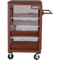 Mobile Mesh Cabinet, Steel, 22 Cubic Feet, Red Infinity Industrial Services Inc.