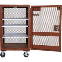 Mobile Mesh Cabinet, Steel, 22 Cubic Feet, Red Infinity Industrial Services Inc.