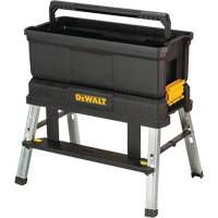 Storage Step Stool, 11-3/5" W x 25-1/5" D x 11-1/3" H, Black Infinity Industrial Services Inc.