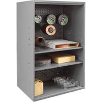 Abrasive Storage Cabinet with Pegboard, Steel, 19-7/8" x 14-1/4" x 32-3/4", Grey Infinity Industrial Services Inc.