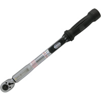 Heavy-Duty Slim Head Torque Wrench, Click, 3/8" Square Drive, 10 - 80 ft-lbs. Infinity Industrial Services Inc.