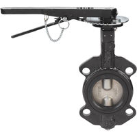 Pneumatic Valves