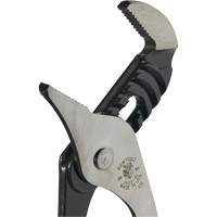 Groove Joint Pliers, 10" Infinity Industrial Services Inc.