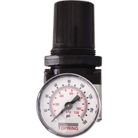 Regulators, 1/4" NPT, 150 PSI Max. PSI, Modular Infinity Industrial Services Inc.