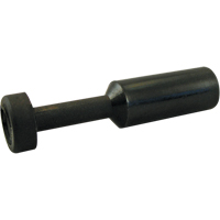 BOUCHON P.T.C. Infinity Industrial Services Inc.