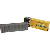 Brad Nails Infinity Industrial Services Inc.