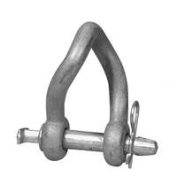Campbell&reg; Short Body Twisted Clevis Infinity Industrial Services Inc.