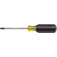 Tournevis Klein a/manche caoutchout&eacute;-Tournevis Torx &agrave; tige ronde Infinity Industrial Services Inc.