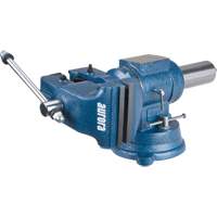 Multi-Purpose Bench Vise, 5" Jaw Width, 3-1/10" Throat Depth Infinity Industrial Services Inc.