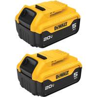 Bloc-piles Max XR Premium, Lithium-ion, 20 V, 5 A Infinity Industrial Services Inc.