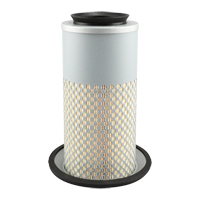 PA3833 Air Element Infinity Industrial Services Inc.