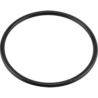 G438 Buna-N O-Ring Infinity Industrial Services Inc.