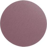 PSA Cloth Disc 348D, 12" Dia., 60 Grit, Aluminum Oxide, X-Weight Infinity Industrial Services Inc.