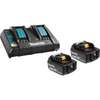 Li-Ion Battery & Dual-Port Charger Kit, 18 V, Lithium-Ion Infinity Industrial Services Inc.